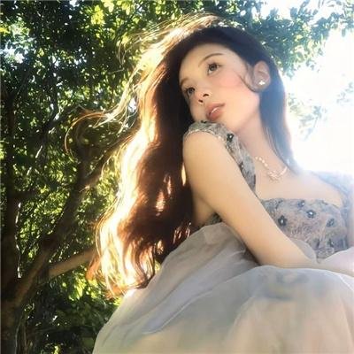 毛驴县令之大事小情