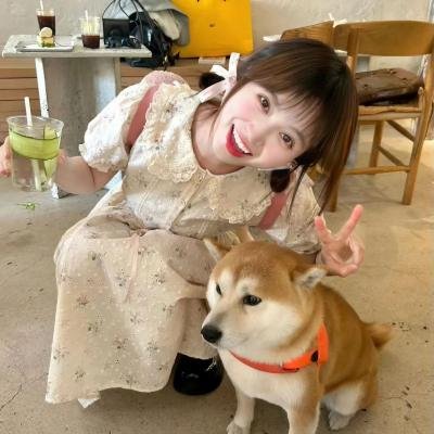 理想的丈夫
